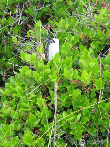 32307 H Place, Ocean Park, WA 98640