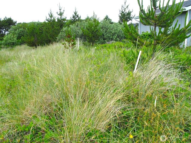 32307 H Place, Ocean Park, WA 98640