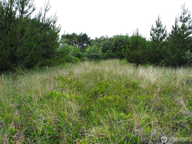 32307 H Place, Ocean Park, WA 98640