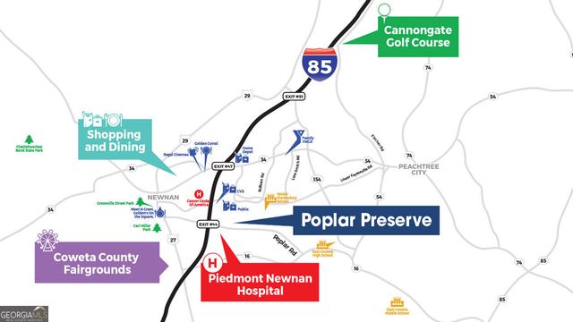 84 White Spruce Way, Newnan, GA 30265