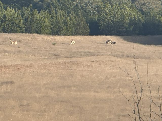 740 County Road 4876, Copperas Cove, TX 76522