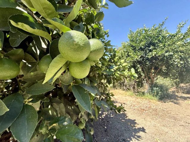 764 Old Highway 395, Fallbrook, CA 92028