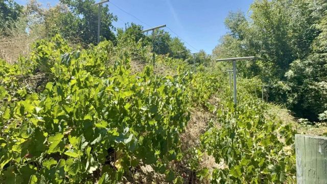 764 Old Highway 395, Fallbrook, CA 92028
