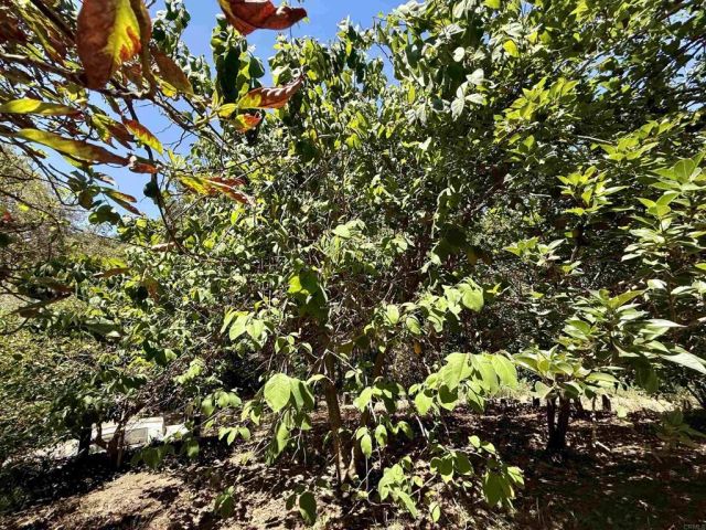 764 Old Highway 395, Fallbrook, CA 92028