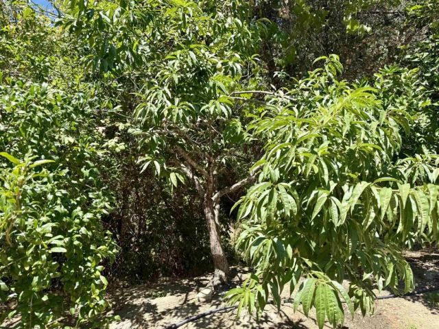 764 Old Highway 395, Fallbrook, CA 92028