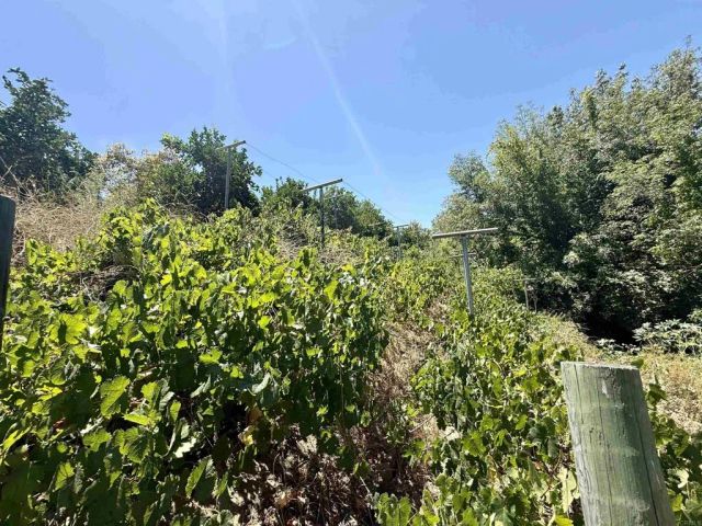 764 Old Highway 395, Fallbrook, CA 92028