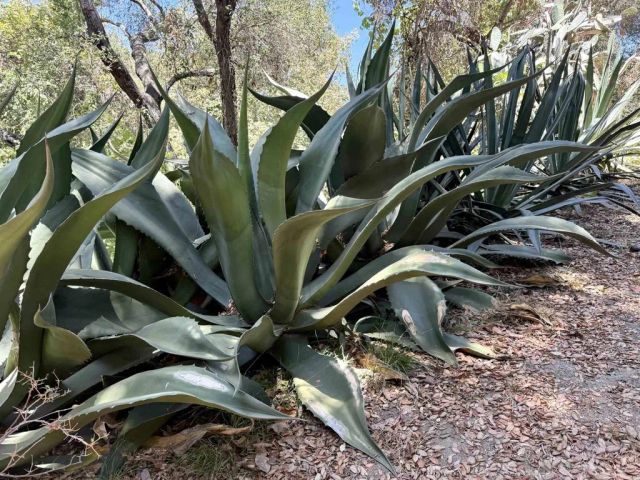 764 Old Highway 395, Fallbrook, CA 92028