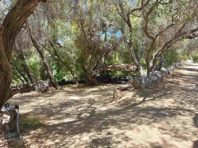 764 Old Highway 395, Fallbrook, CA 92028