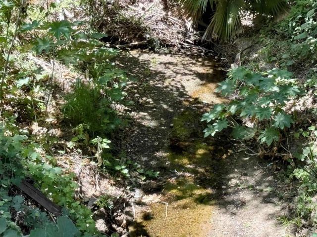 764 Old Highway 395, Fallbrook, CA 92028