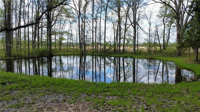 21193 Gore Orphanage Road, Wellington, OH 44090