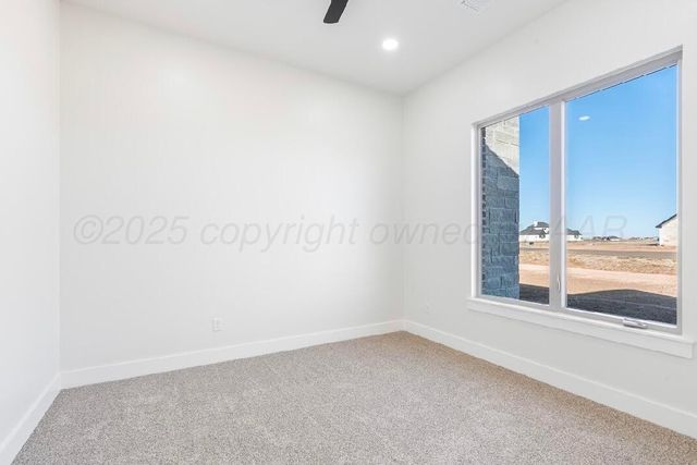 10147 COCKLEBUR Lane, Amarillo, TX 79119