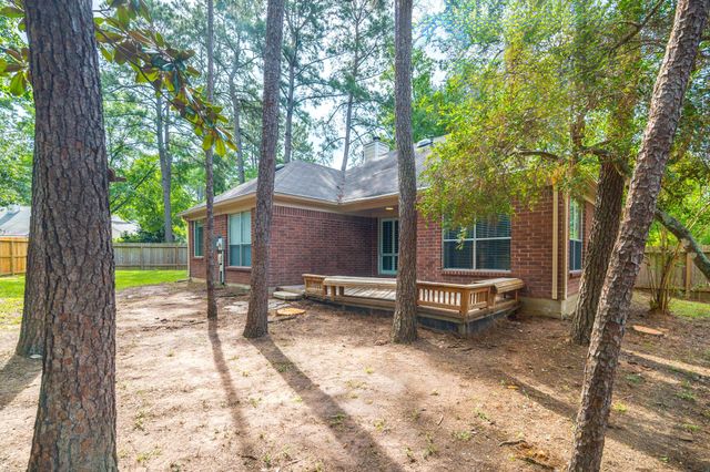 18 Maize Meadow Place, The Woodlands, TX 77381