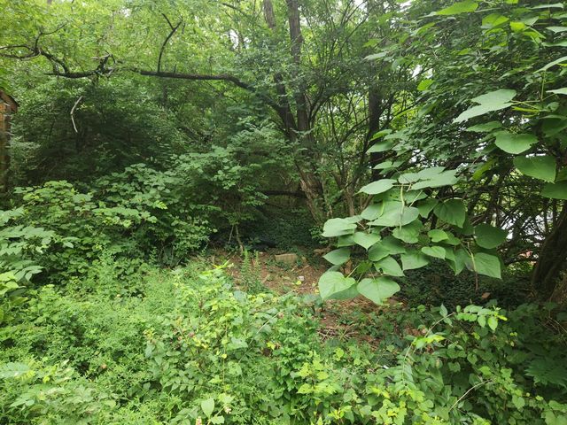 2220 New Linden Road, Newport, KY 41071