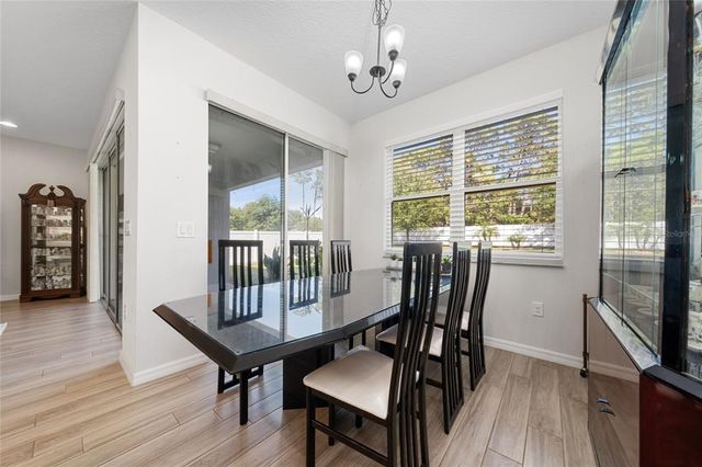 3002 BETHPAGE LOOP, Mount Dora, FL 32757
