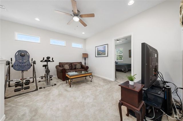 3002 BETHPAGE LOOP, Mount Dora, FL 32757