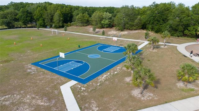 3002 BETHPAGE LOOP, Mount Dora, FL 32757