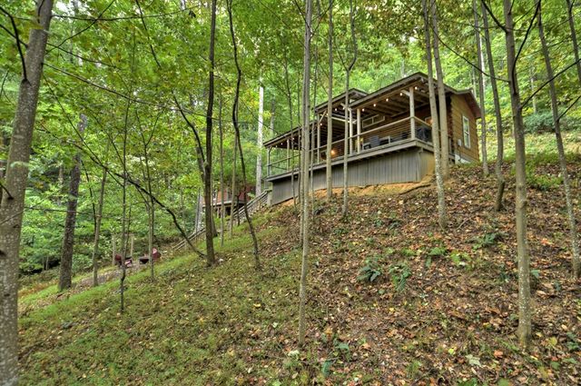 163 Chestnut Ridge Trail, Blue Ridge, GA 30513