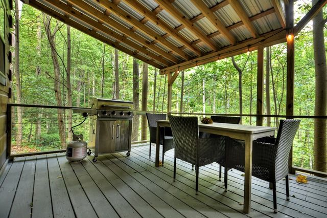 163 Chestnut Ridge Trail, Blue Ridge, GA 30513