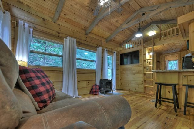 163 Chestnut Ridge Trail, Blue Ridge, GA 30513