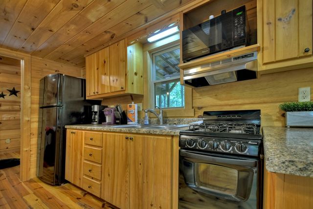 163 Chestnut Ridge Trail, Blue Ridge, GA 30513