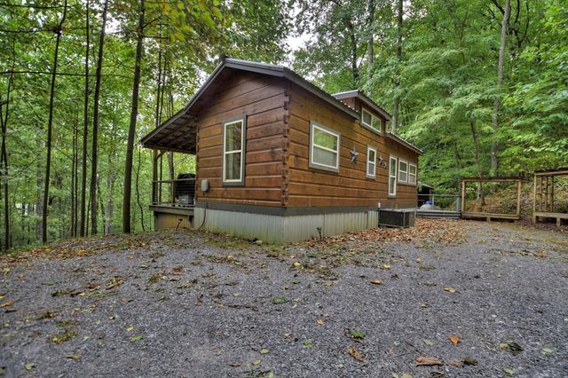 163 Chestnut Ridge Trail, Blue Ridge, GA 30513