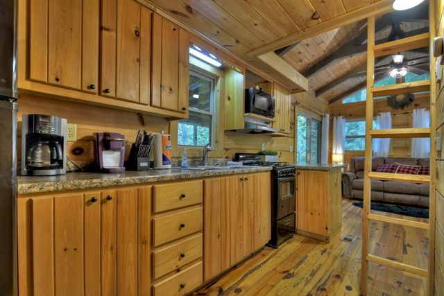 163 Chestnut Ridge Trail, Blue Ridge, GA 30513