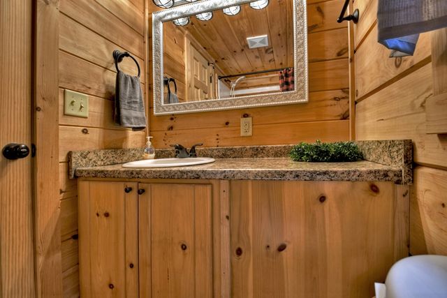 163 Chestnut Ridge Trail, Blue Ridge, GA 30513