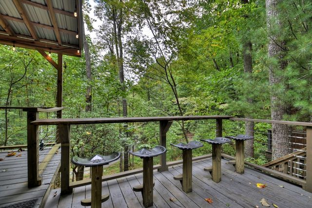 163 Chestnut Ridge Trail, Blue Ridge, GA 30513