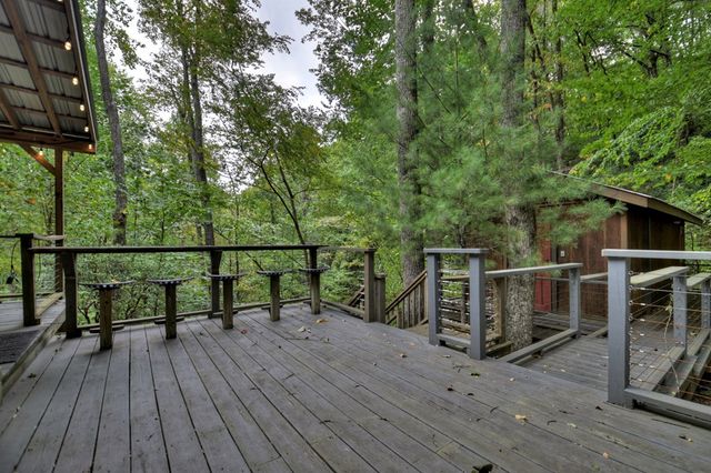 163 Chestnut Ridge Trail, Blue Ridge, GA 30513