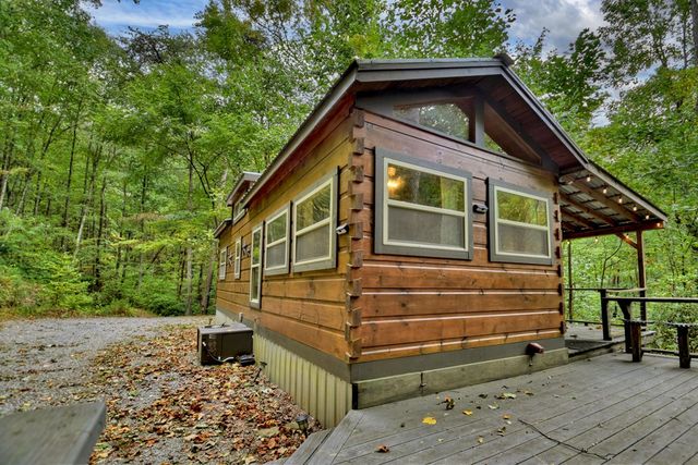 163 Chestnut Ridge Trail, Blue Ridge, GA 30513