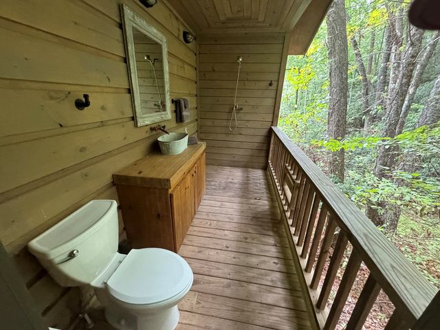 163 Chestnut Ridge Trail, Blue Ridge, GA 30513