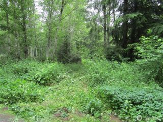 0 Davis Lake Road, Morton, WA 98356