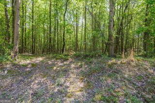 230 Dyer Road Tract 2, Gillsville, GA 30543