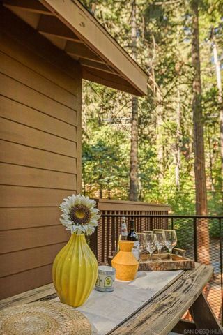 625 Cottage Grove Rd, Lake Arrowhead, CA 92352