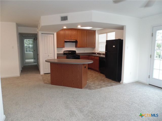 110 Trestle Tree AB, San Marcos, TX 78666