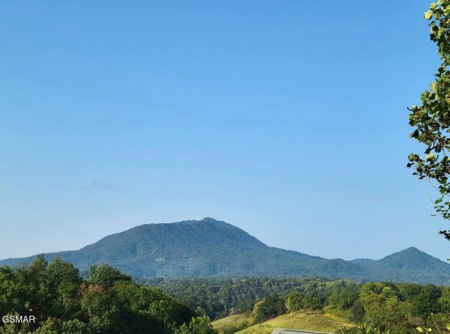 1091 Towering Oaks Drive, Sevierville, TN 37876