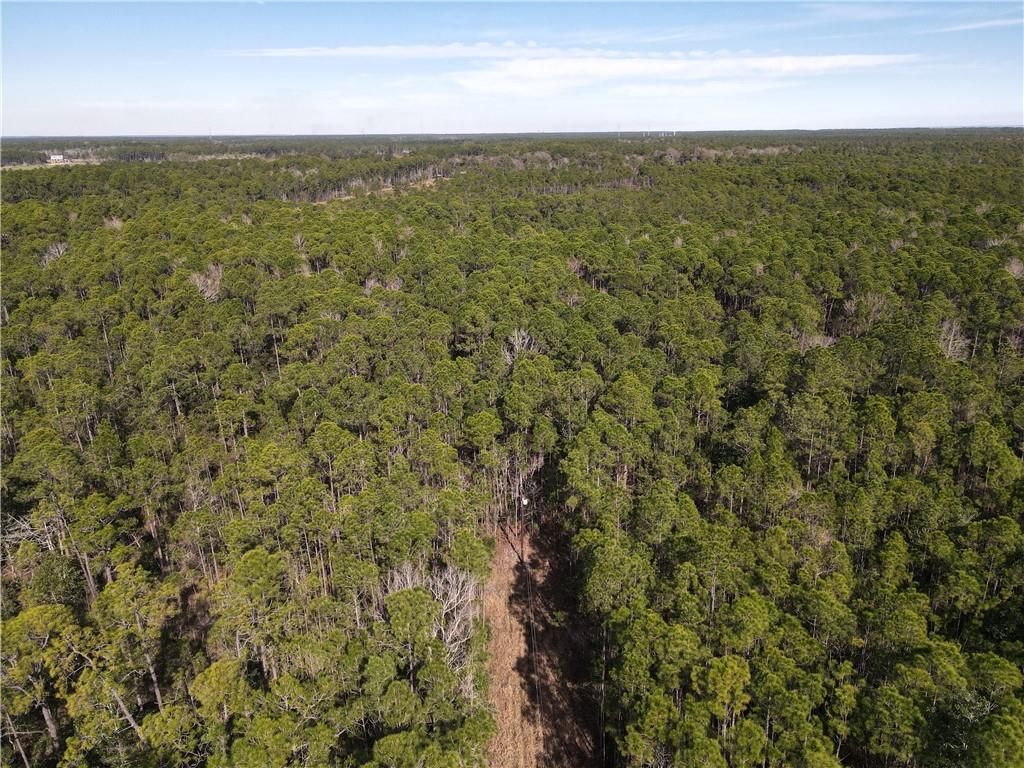 0 Highway 188, Coden, AL 36523 — photo 2