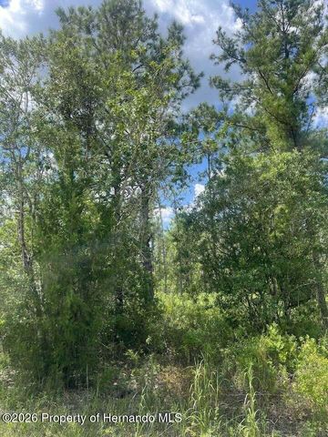 0000 Parrot Road, Weeki Wachee, FL 34614