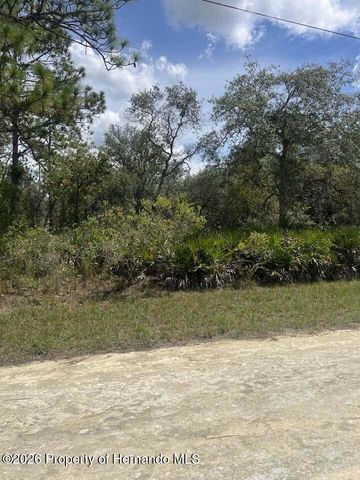 0000 Parrot Road, Weeki Wachee, FL 34614