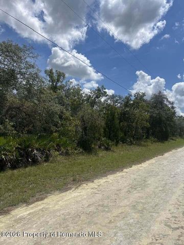 0000 Parrot Road, Weeki Wachee, FL 34614