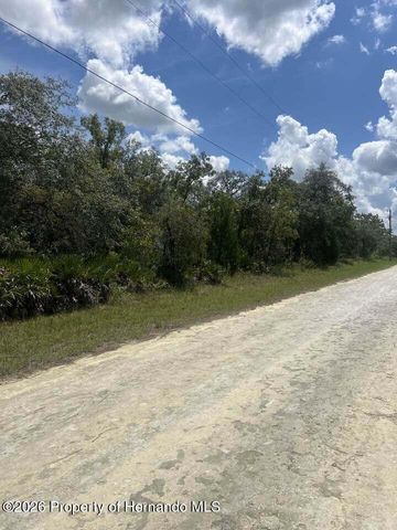 0000 Parrot Road, Weeki Wachee, FL 34614