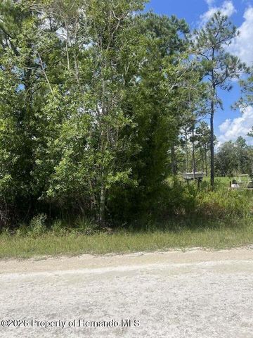 0000 Parrot Road, Weeki Wachee, FL 34614