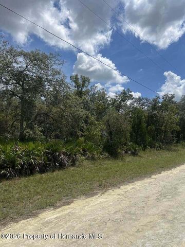 0000 Parrot Road, Weeki Wachee, FL 34614
