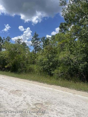 0000 Parrot Road, Weeki Wachee, FL 34614