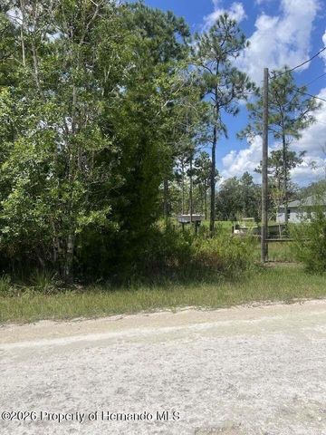 0000 Parrot Road, Weeki Wachee, FL 34614