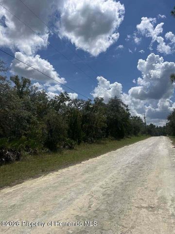 0000 Parrot Road, Weeki Wachee, FL 34614