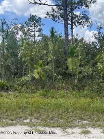 0000 Parrot Road, Weeki Wachee, FL 34614