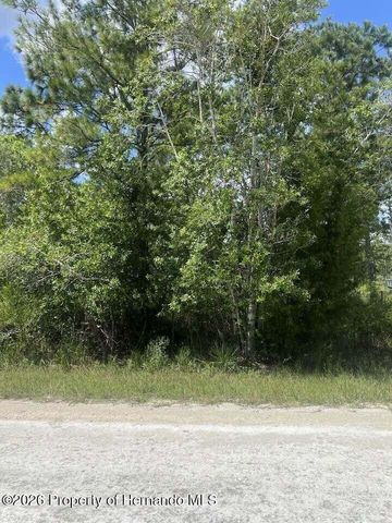 0000 Parrot Road, Weeki Wachee, FL 34614