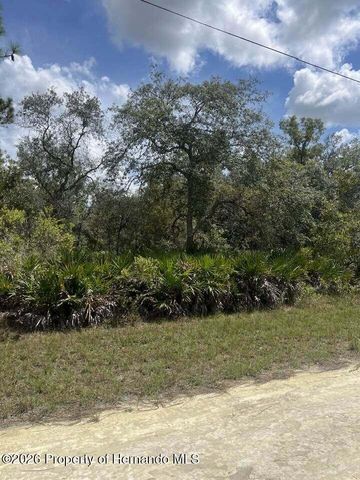 0000 Parrot Road, Weeki Wachee, FL 34614