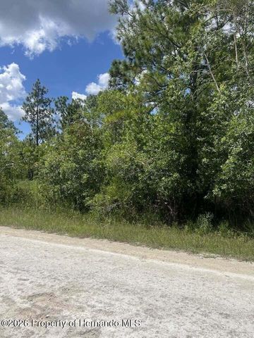 0000 Parrot Road, Weeki Wachee, FL 34614